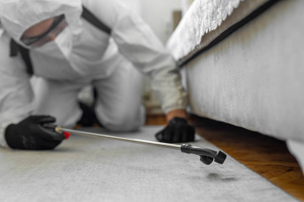 Professional Bed Bug Control technician working in Gretna, FL